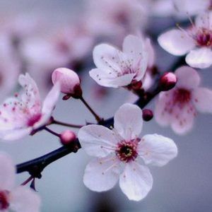 Meet your Posher, Sue